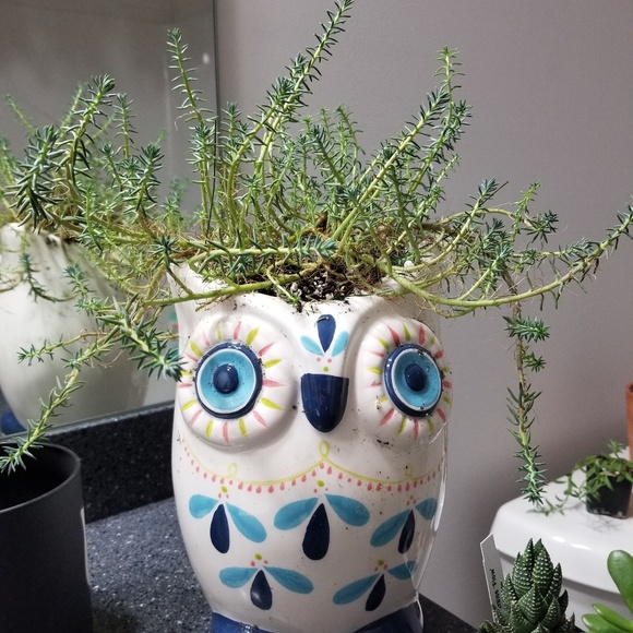 Meet your Posher, Ro - Picture 1 of 1